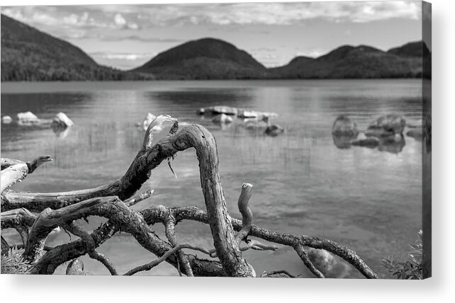 Black And White Acrylic Print featuring the photograph Natural Curves by Holly Ross