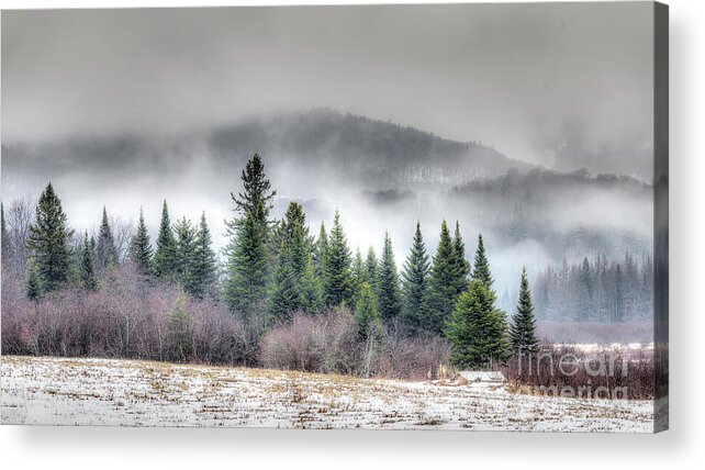 Snow Acrylic Print featuring the photograph North Meadow by Rod Best