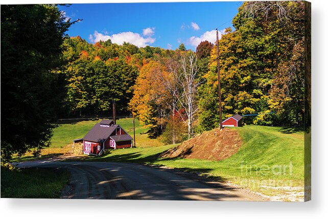 Fall Foliage Acrylic Print featuring the photograph On the back roads of Reading Vermont by Scenic Vermont Photography
