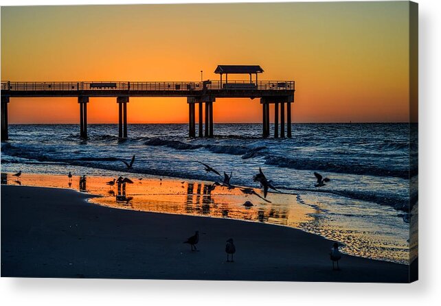 Alabama Acrylic Print featuring the photograph Orange in the Morning in Orange Beach by Michael Thomas