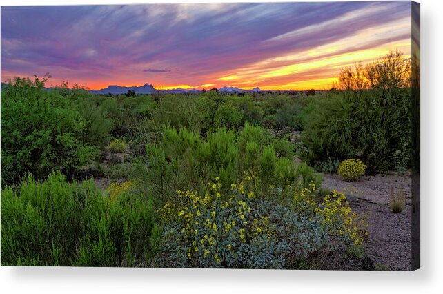 Sunset Acrylic Print featuring the photograph Oro Valley Sunset h37 by Mark Myhaver