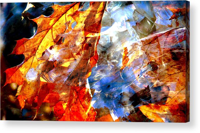 Leaf Acrylic Print featuring the photograph Painted Branches Abstract 1 by Anita Burgermeister