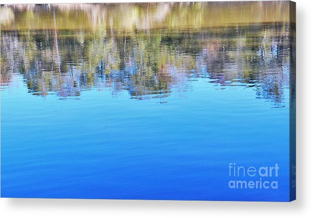 Reflections Acrylic Print featuring the photograph Palette Of Pastels by Jan Gelders