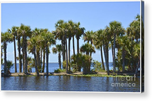 Lake Acrylic Print featuring the photograph Palm Island by Carol Bradley