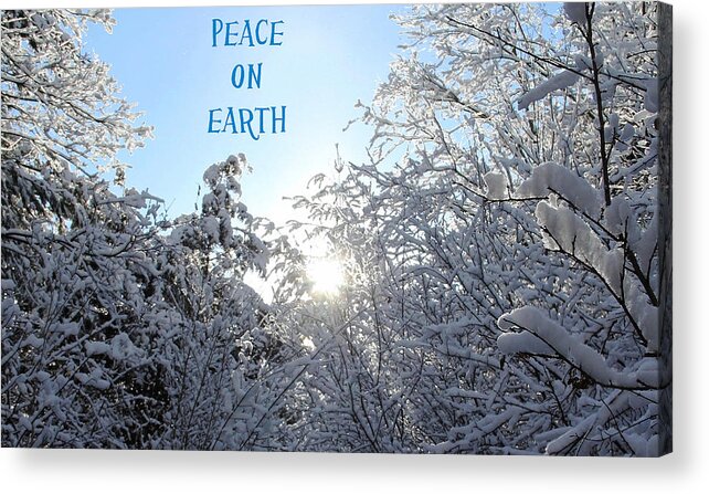 Peace On Earth Acrylic Print featuring the photograph Peace On Earth by Debbie Oppermann