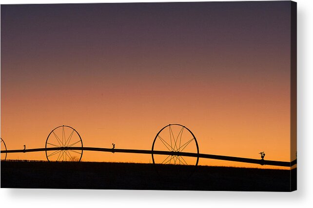 Horizon Acrylic Print featuring the photograph Pre-dawn Orange Sky by Monte Stevens