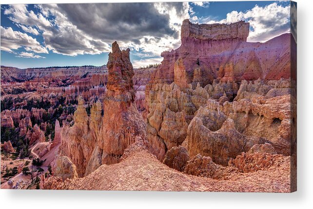 Bryce Canyon Acrylic Print featuring the photograph Rainbow Hoodoos of Bryce Canyon by Pierre Leclerc Photography