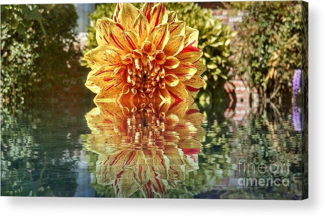 Digital Acrylic Print featuring the digital art Red and yellow reflection by Steven Wills