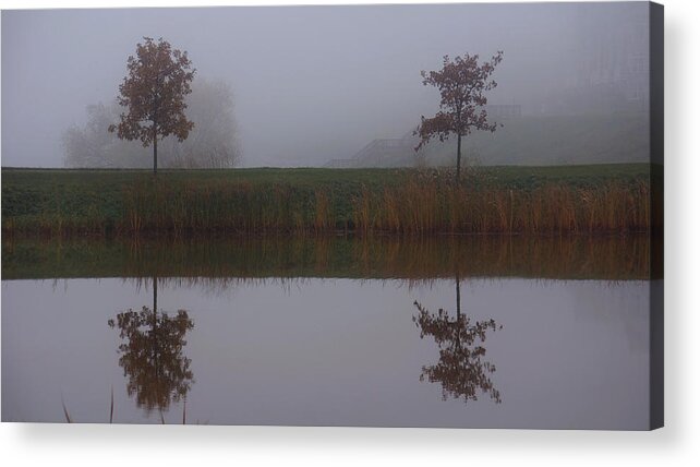 Trees Acrylic Print featuring the photograph Reflections by Brooke Bowdren