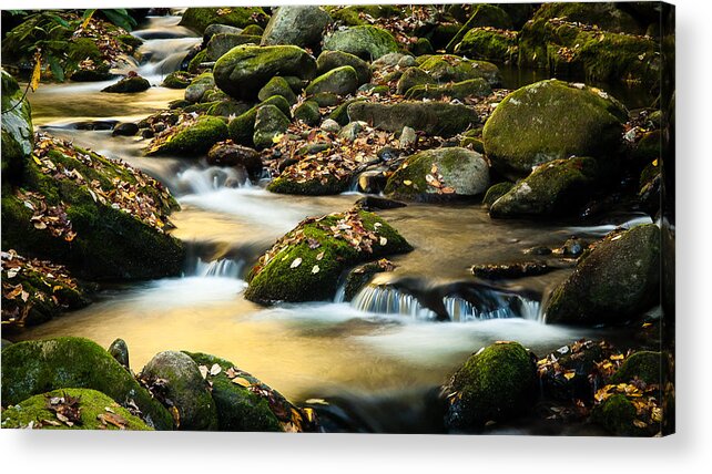 Great Smoky Mountains Acrylic Print featuring the photograph Roaring Fork River by Monte Stevens
