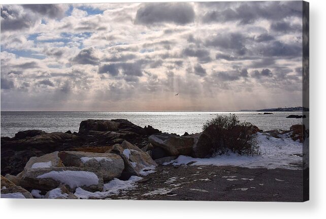 New Hampshire Acrylic Print featuring the photograph Rye In Winter by Tricia Marchlik