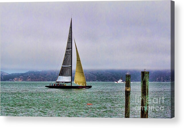 America's Cup Acrylic Print featuring the photograph San Francisco 34th World Series America's Cup by Chuck Kuhn