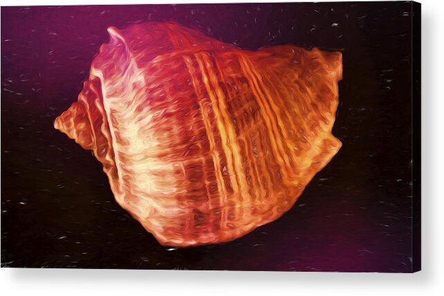 Seashell Acrylic Print featuring the digital art SeaShell 6 by Cathy Anderson