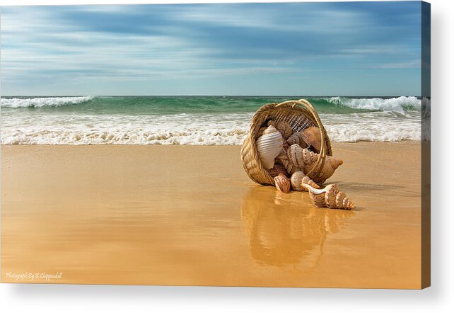 Seashells Forster Acrylic Print featuring the digital art Seashells Forster 061 by Kevin Chippindall