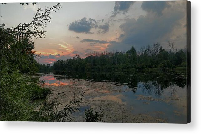  Acrylic Print featuring the photograph Shoreline Sunset by Brad Nellis