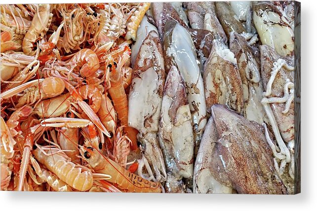 Europe Acrylic Print featuring the digital art Shrimp and Squid - Port Santo Stefano, Italy by Joseph Hendrix