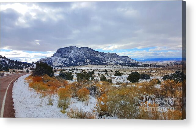 Southwest Landscape Acrylic Print featuring the photograph Side of the road by Robert WK Clark