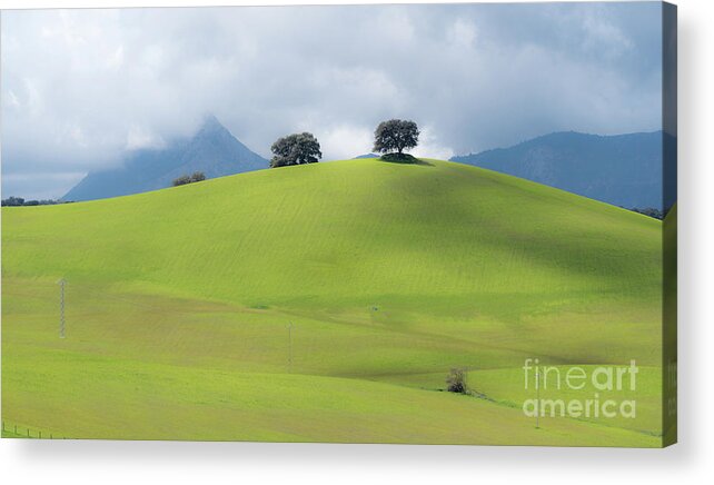 Sierra Acrylic Print featuring the photograph Sierra Ronda, Andalucia Spain 3 by Perry Rodriguez