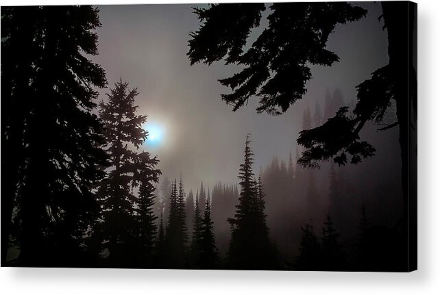 Silhouette Acrylic Print featuring the photograph Silhouettes in the Mist 2008 by Greg Reed