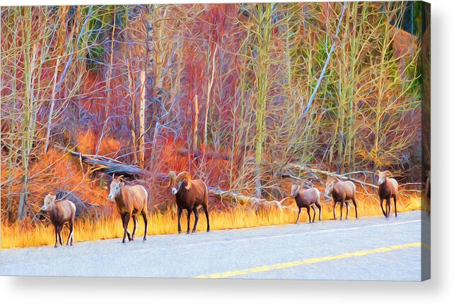 Nature Acrylic Print featuring the photograph Single File for Safety by Judy Wright Lott