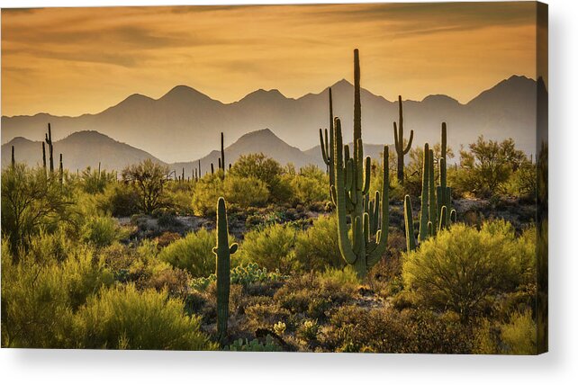 Sunset Acrylic Print featuring the photograph So Many Layers to the Sonoran by Saija Lehtonen