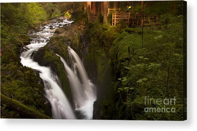 Olympic National Park Acrylic Print featuring the photograph Sol Duc Falls by Heniek  