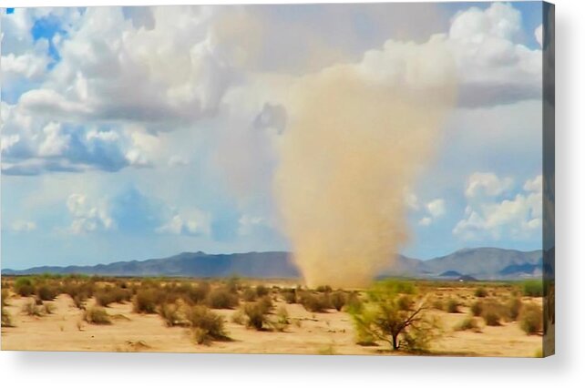 Arizona Acrylic Print featuring the photograph Sonoran Desert Dust Devil by Judy Kennedy
