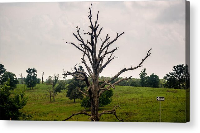 Clakley Acrylic Print featuring the photograph Still Standing by Darrell Clakley