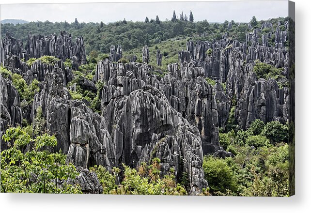 China Acrylic Print featuring the photograph Stone Forest by Wade Aiken