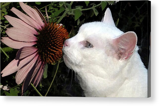 Cat Acrylic Print featuring the digital art Stop To Smell The Flowers by Joyce Wasser