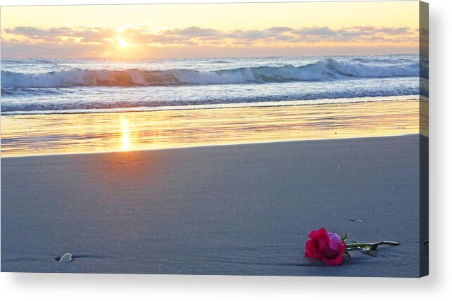 Sunrise Acrylic Print featuring the photograph Sunrise Rose by Lawrence S Richardson Jr