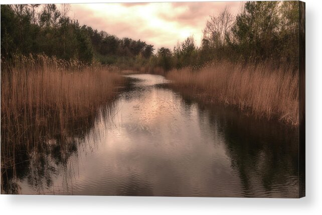 Grass Acrylic Print featuring the photograph Sunset at the sandpit in Maarn by Tim Abeln
