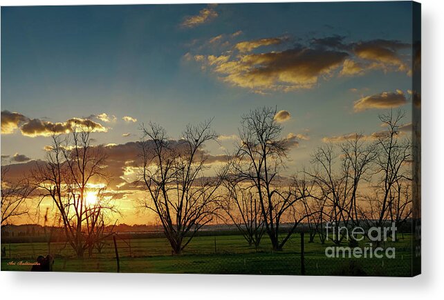 Panorama Acrylic Print featuring the photograph Sunset in the fields of Binyamina by Arik Baltinester