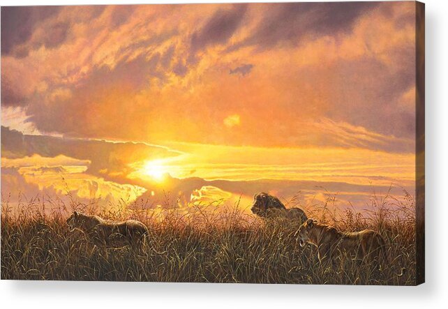 Lion Acrylic Print featuring the painting Sunset Prowl by Alan M Hunt