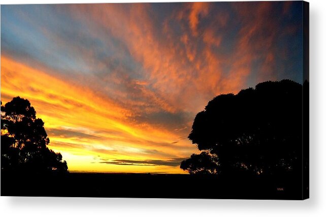 Viva Acrylic Print featuring the photograph Sydney Sunset 10-06 by VIVA Anderson