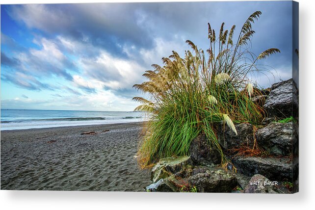 Brookings Acrylic Print featuring the photograph The Beach at Brookings by Walt Baker