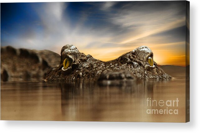 Crocodile Acrylic Print featuring the photograph The crocodile by Christine Sponchia