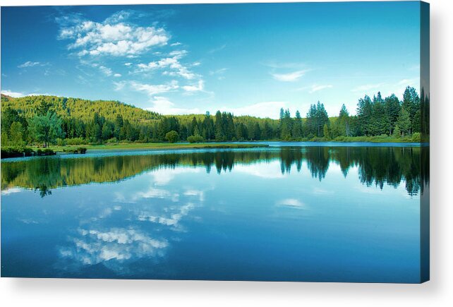 Mill Acrylic Print featuring the photograph The Mill Pond by Mick Burkey