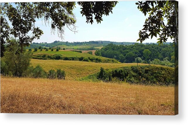Tuscan Acrylic Print featuring the photograph Tuscan Country by Valentino Visentini