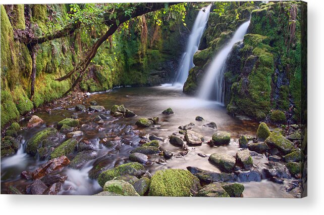 Vennford Acrylic Print featuring the photograph Vennford Waterfall on Dartmoor by Pete Hemington