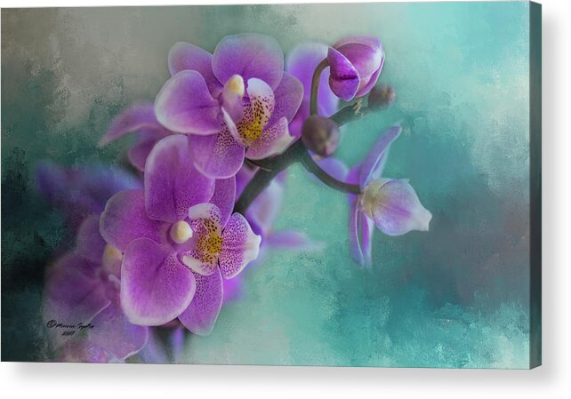 Orchid Acrylic Print featuring the photograph Warms The Heart by Marvin Spates