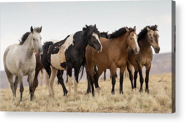 Washakie Acrylic Print featuring the photograph Washakie's Band by Ronnie And Frances Howard