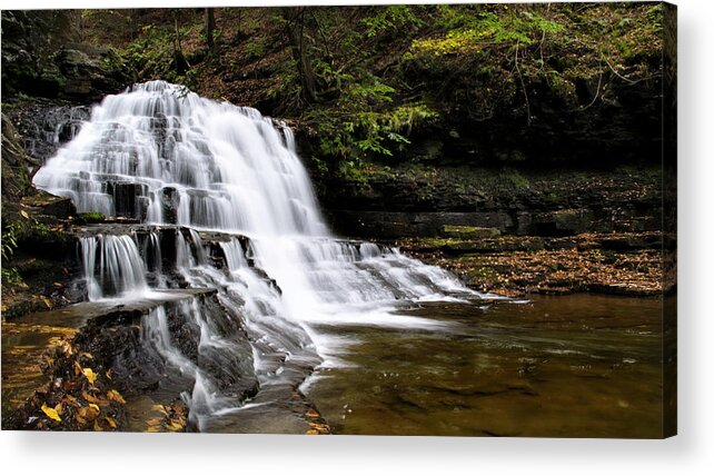 Waterfalls Acrylic Print featuring the photograph Waterfall Cascade Salt Springs State Park by Christina Rollo
