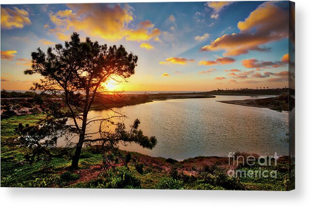 Batiquitos Lagoon Acrylic Print featuring the photograph What a Glow at the Batiquitos Lagoon by David Levin