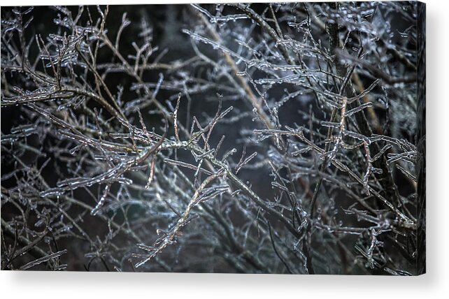 Icicles Acrylic Print featuring the photograph WHISPERS of WINTER by Karen Wiles
