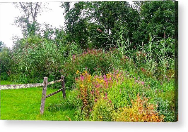 Wildflowers Acrylic Print featuring the photograph Wildflowers and Fence in Bridgewater by Dani McEvoy