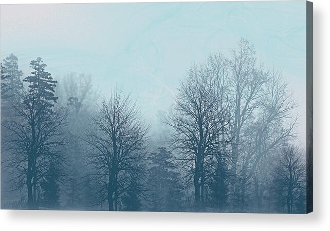 Trees Acrylic Print featuring the digital art Winter Morning by Milena Ilieva