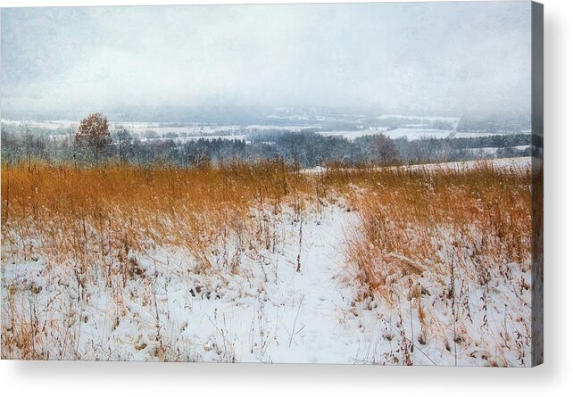 Jennifer Rondinelli Reilly Acrylic Print featuring the photograph Winter Prairie at Retzer Nature Center by Jennifer Rondinelli Reilly - Fine Art Photography