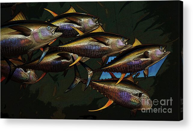 Fish Acrylic Print featuring the photograph Yellow Fin Tuna by Craig Wood