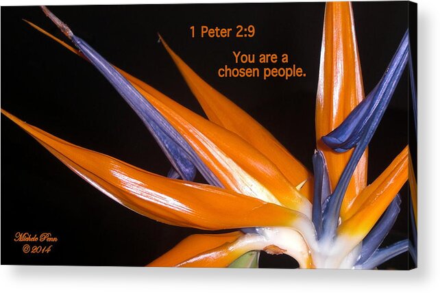 Flowers Acrylic Print featuring the photograph You are a chosen people. 1 Peter 2-9 by Michele Penn